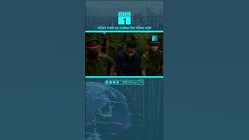 Vì sao "dì ghẻ" Nguyễn Võ Quỳnh Trang xin rút kháng cáo, chấp nhận bản án tử hình? | VTC1