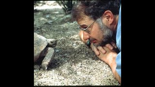 Brazilianite Gemstone