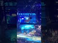 Jack Grealish lifts the UEFA super cup at the City after party