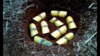 Jurus Andalan Orang Desa TABA INDAH ! Cara Unik Menanam Tebu Agar Cepat Tumbuh Besar