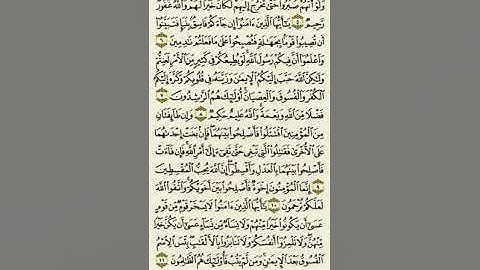 سورة الحجرات من الآية ٥ إلى الآية ١١بصوت القارئ ماهر المعيقلي