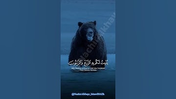 "هو الذي أنزل من السماء ماء"#سورة_النحل للشيخ #ياسر_الدوسري #قران #تلاوة_خاشعة #quran #youtube