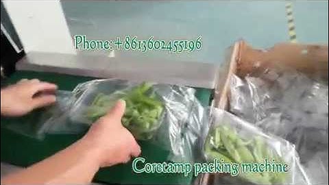 Tray vegetable flow wrap, flow pack , automatic packing machine
