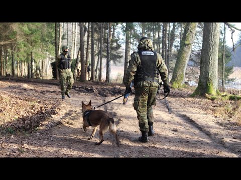 Wideo: Światowe Malowanie Klienta Granicznego