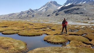 Reflexiones de la Cuarentena y Tips de Idiomas