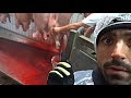 Vegan LITERALLY enters KILL FLOOR of Pig Slaughterhouse! [EXTREMELY GRAPHIC]