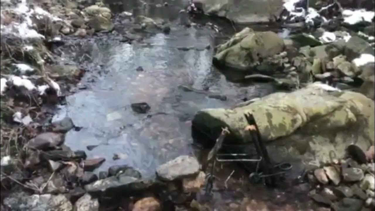 Otter Trapping with Natural Blocking YouTube