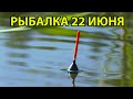 Рыбалка на поплавок 22 июня ,  клёв после полудня .