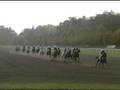 Velka Pardubice 2008 - full race