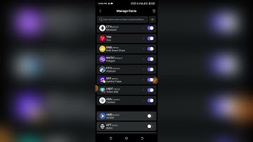 HOW TO ADD POLKADOT TOKEN TO SAFEPAL WALLET