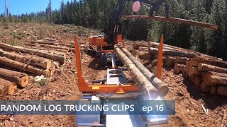 Random Log Trucking Clips ep16 by Fourth Over 1,429 views 9 months ago 24 minutes