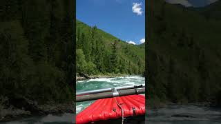 Алтай / Бурная река 🌏 #экстрим #водомёт #тюнинглодок
