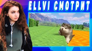 ELLVI смотрит UNUSUAL MEMES COMPILATION V83 || Элви