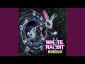 White Rabbit