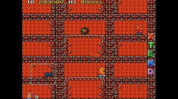 The NewZealand Story - New Version  (Arcade - Taito - 1988) - 1,169,580 - 1cc