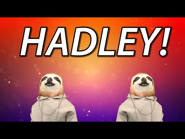 HAPPY BIRTHDAY HADLEY! - SLOTH HAPPY BIRTHDAY RAP