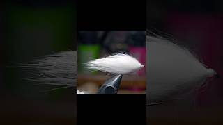 Rabbit Fur Leech or Baitfish
