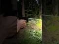 P320 M18X Wilson Combat M Grip by Parabellum#asmr #airsoftcqb #airsoft