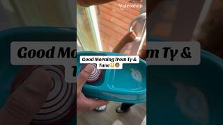 Tune Loves That Breakfast