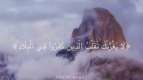 أروع حالات واتس أبو بكر الشاطري من سورة آل عمران