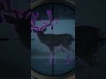 Drop a sub if you enjoyed.Great one mule deer #1 🦌 another throw back Hunter call of the wild #cotw