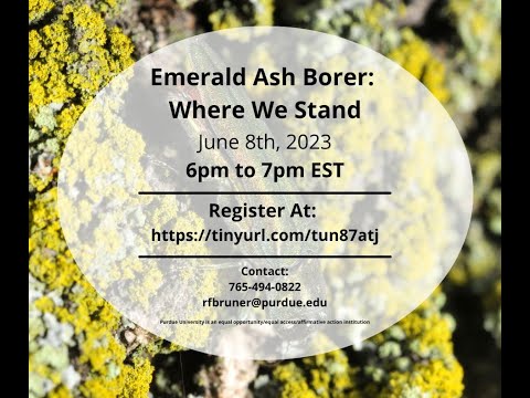 Emerald Ash Borer: