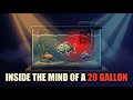 20 Gallon Aquarium Guide: High vs Long Tank Geometry