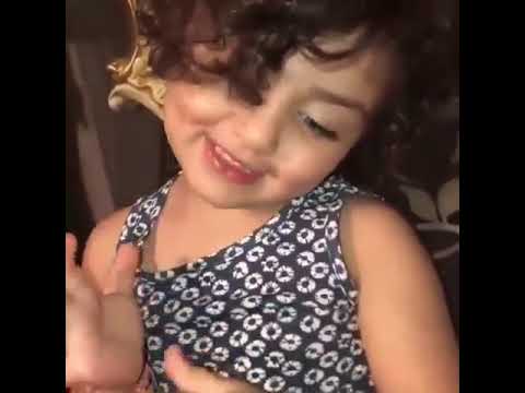 عسل الجبال وغذاء ملكاتو