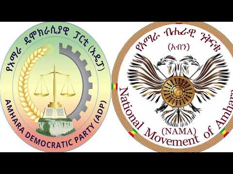 ቪዲዮ: የስብሰባ ጥሪ እንዴት እንደሚያደራጁ