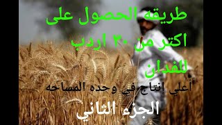 2 _ زراعه القمح للحصول علي اكتر من 30 اردب للفدان ( إعداد الارض  _ طرق الزراعة).