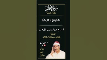 قال ربي اشرح لي صدري ويسر لي امري [ سوره طه ] القارئ عبد المنعم الطوخي