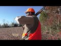 Outdoors Delmarva:  Opening Day for Rabbits