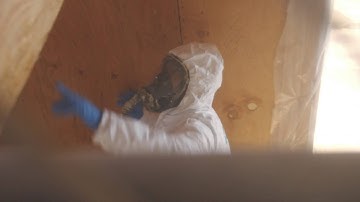 Icynene Spray Foam Insulation: Dealer Profile - Insulate SB, Dealer