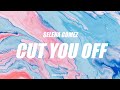 Selena Gomez Cut You Off Lyrics