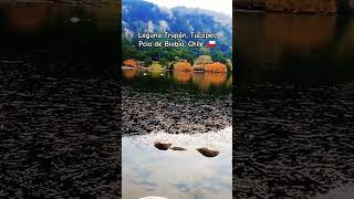 Laguna Trupán, Tucapel, Pcia de Biobío, Chile 🇨🇱 ¡Belleza! #youtube #beautiful #lake #shorts #foryou