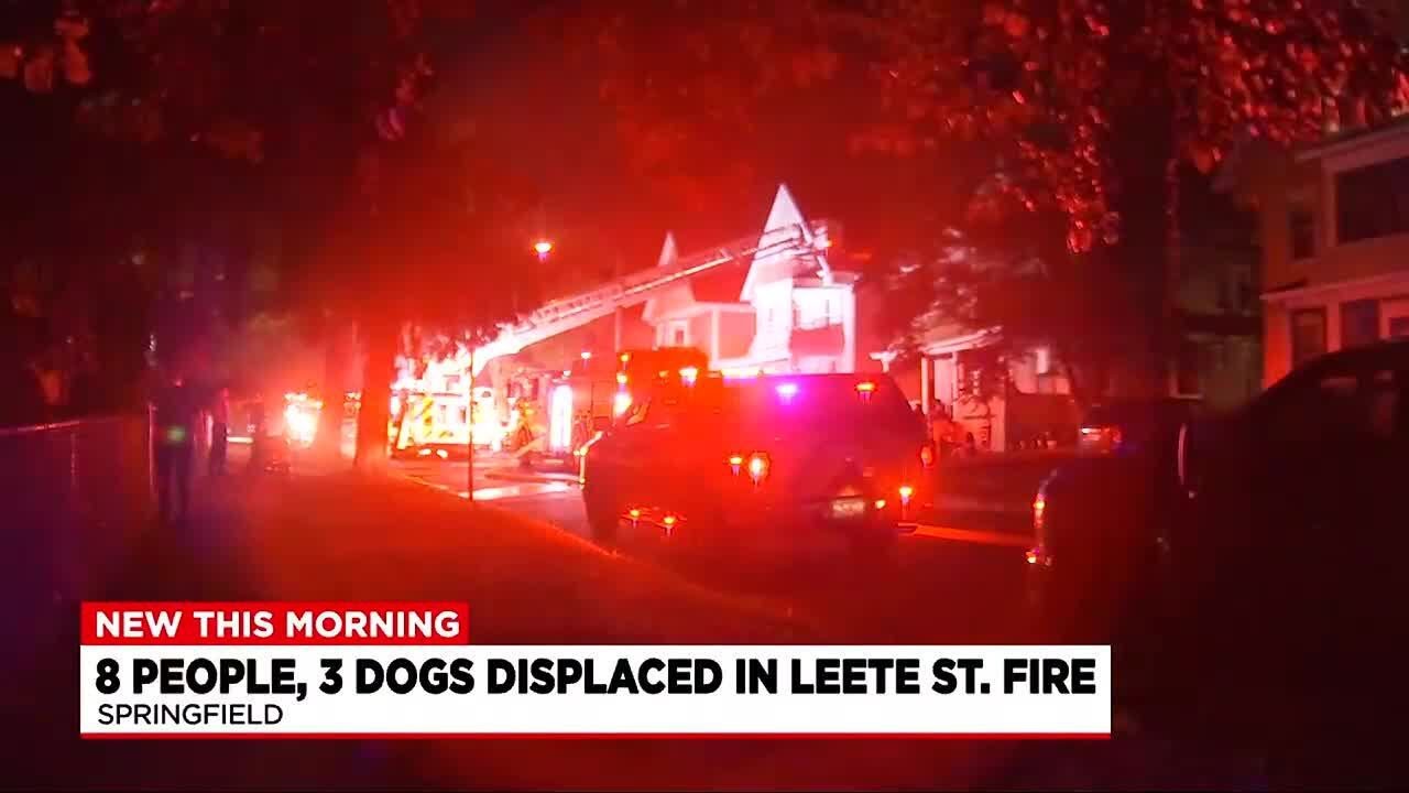 8 people, 3 dogs displaced after fire in Springfield - YouTube