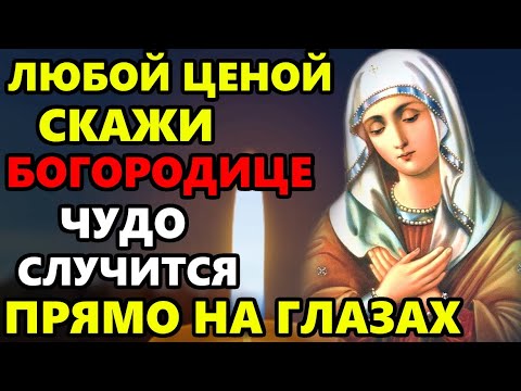 12 декабря ЛЮБОЙ ЦЕНОЙ СКАЖИ ЭТУ МОЛИТВУ БОГОРОДИЦЕ И СЛУЧИТСЯ ЧУДО! Молитва Богородице! Православие