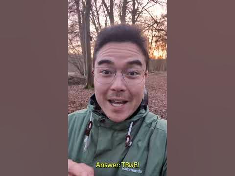 chinese new year quiz buzzfeed