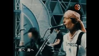 The Cro-Magnons - Tariho (タリホー)