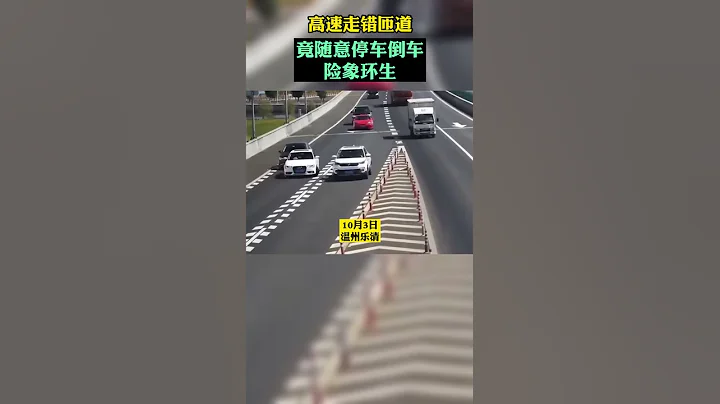 高速倒車，後果很嚴重 - 天天要聞
