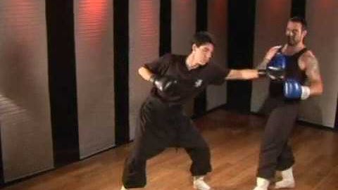 Kung Fu Blocking Techniques: Quick Block & Straight Counter Punch