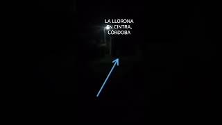 la llorona vista en cintra, Córdoba, Argentina 🇦🇷