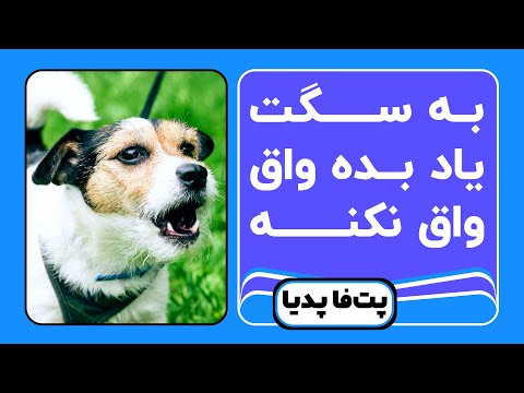 تصویری: آیا پارس سگ ها به ندرت گاز می گیرند؟