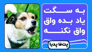 آموزش پارس نکردن به سگ | چیکار کنم سگم پارس نکنه؟ by Petfa 14,659 views 3 years ago 7 minutes, 41 seconds