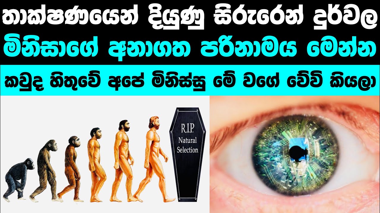 මිනිසාගේ අනාගත පරිනාමය මෙහෙමයි | The Future of human evolution - YouTube