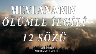 En Güzel Mevlana sözleri | Mevlana'nın Yedi Öğüdü | Üzülme Can Şiiri | MEVLANA HAFTASI ÖZEL