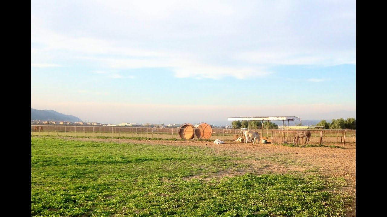 San Jacinto Ranch For Sale YouTube