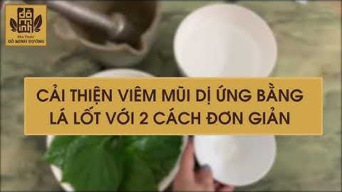 Chữa viêm mũi dị ứng chỉ với nhúm lá lốt  - Đỗ Minh Đường