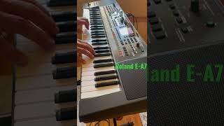 Roland E-A7 99893 385 00 64