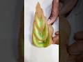 amazing fruit cutting skills🥝🍉🥑1202#shorts #viral#food#youtubeshorts#yt